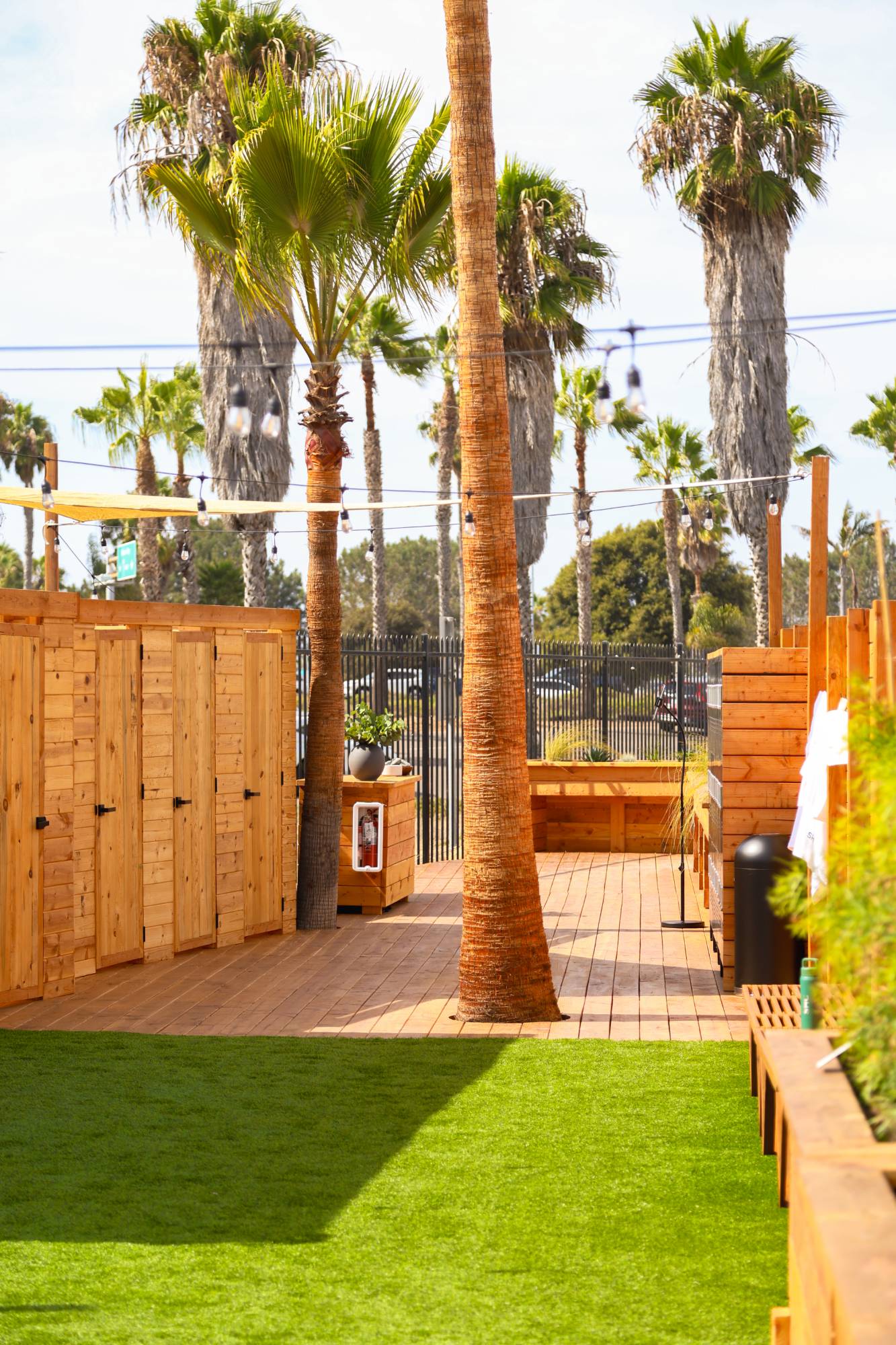 Sunlit wooden deck under palm trees at the club