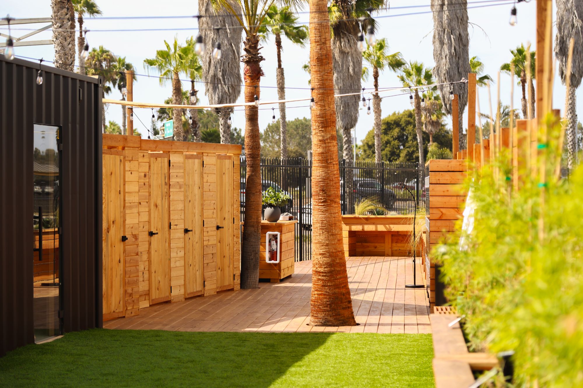 Wooden deck with changing rooms and a palm tree